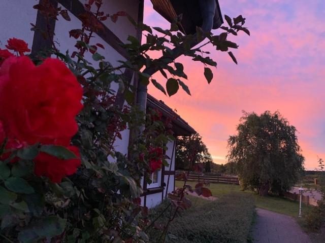 Landhotel Rosenhof Garni Am Plauer See Mit Ladesaeule Fuer E-Autos Quetzin Dış mekan fotoğraf